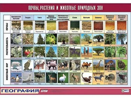 Таблица демонстрационная "Почвы, растения и животные природных зон" (винил 70*100) - fgospostavki.ru - Мегион
