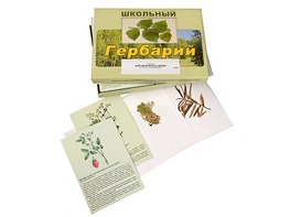 Гербарий "Для начальной школы" (30 видов, с иллюстрациями) - fgospostavki.ru - Мегион