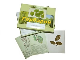 Гербарий "Дикорастущие растения" (30 видов, с иллюстрациями) - fgospostavki.ru - Мегион