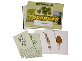 Гербарий "Лекарственные растения" (22 вида с иллюстрациями) - fgospostavki.ru - Мегион