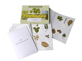 Гербарий "Морфология растений" (6 тем, 30 видов) - fgospostavki.ru - Мегион