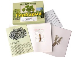 Гербарий "Водоросли. Грибы. Лишайники" (раздаточный) - fgospostavki.ru - Мегион