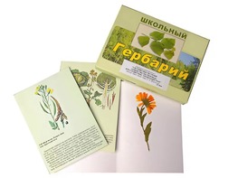 Гербарий "Систематика растений. Семейство Пасленовые. Крестоцветные. Сложноцветные" (раздаточный) - fgospostavki.ru - Мегион
