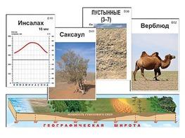 Модель-аппликация "Природные зоны" - fgospostavki.ru - Мегион