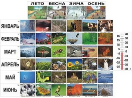 Фенологические наблюдения - fgospostavki.ru - Мегион