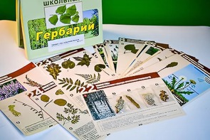 Гербарий к курсу основ общей биологии - fgospostavki.ru - Мегион