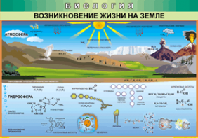 Таблица "Возникновение жизни на земле" (100х140 сантиметров, винил) - fgospostavki.ru - Мегион