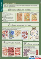 Комплект таблиц. Биология 8-9 класс. Человек. - fgospostavki.ru - Мегион