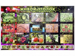 Комплект оборудования "Живой уголок" (растения) с тифлопереводом и сурдокомментариями - fgospostavki.ru - Мегион