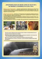 Комплект плакатов "Добровольная пожарная дружина" - fgospostavki.ru - Мегион
