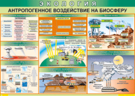 Таблица "Антропогенное воздействие на биосферу" (100х140 сантиметров, винил) - fgospostavki.ru - Мегион