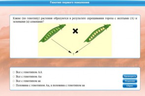 Интерактивные курсы. Биология 11 класс. Базовый. - fgospostavki.ru - Мегион