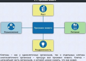 Интерактивные курсы. Биология 5 класс. Базовый - fgospostavki.ru - Мегион