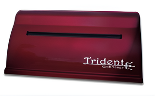 Принтер для печати рельефно-точечным шрифтом Брайля Trident - fgospostavki.ru - Мегион