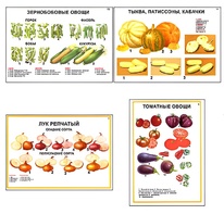 Плакаты ПРОФТЕХ "Ассортимент овощных культур" (12 пл, винил, 70х100) - fgospostavki.ru - Мегион