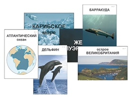 Модель-аппликация "Океаны. Знакомство" (ламинированная) - fgospostavki.ru - Мегион