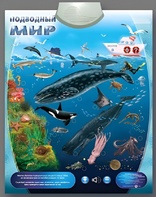 Озвученный плакат "Подводный мир" - fgospostavki.ru - Мегион