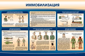 Стенд "Иммобилизация" - fgospostavki.ru - Мегион