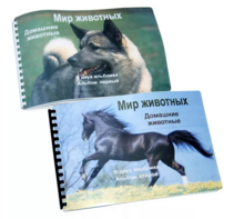 Пособие для слабовидящих - Домашние животные - fgospostavki.ru - Мегион