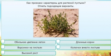 Интерактивные курсы. Окружающий мир 3 класс . Базовый. - fgospostavki.ru - Мегион