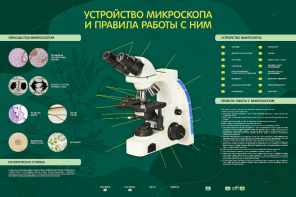 Электрифицированный стенд "Устройство микроскопа и правила работы c ним" - fgospostavki.ru - Мегион