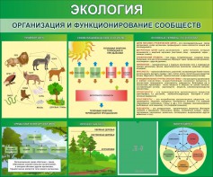Стенд "Экология. Организация и функционирование сообществ" - fgospostavki.ru - Мегион