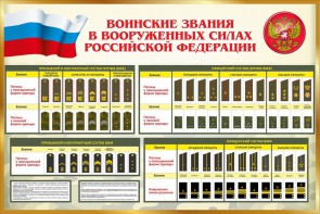 Стенд "Воинские звания в вооруженных силах РФ" - fgospostavki.ru - Мегион
