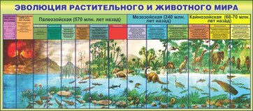 Стенд "Эволюция растительного и животного мира" - fgospostavki.ru - Мегион