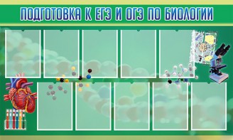 Стенд "Подготовка к ЕГЭ и ОГЭ по биологии" Вариант 2 - fgospostavki.ru - Мегион