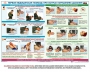 Комплект плакатов "Оказание первой доврачебной медицинской помощи" - fgospostavki.ru - Мегион