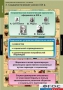 Комплект таблиц. История. Политические течения XVIII-XIX веков. - fgospostavki.ru - Мегион