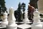 Напольные фигуры шахматные гигантские 61 - fgospostavki.ru - Мегион
