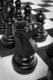 Напольные фигуры шахматные гигантские 61 - fgospostavki.ru - Мегион