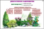 Комплект кодотранспарантов "Культурные растения" - fgospostavki.ru - Мегион