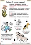 Комплект кодотранспарантов "Ядовитые растения" - fgospostavki.ru - Мегион